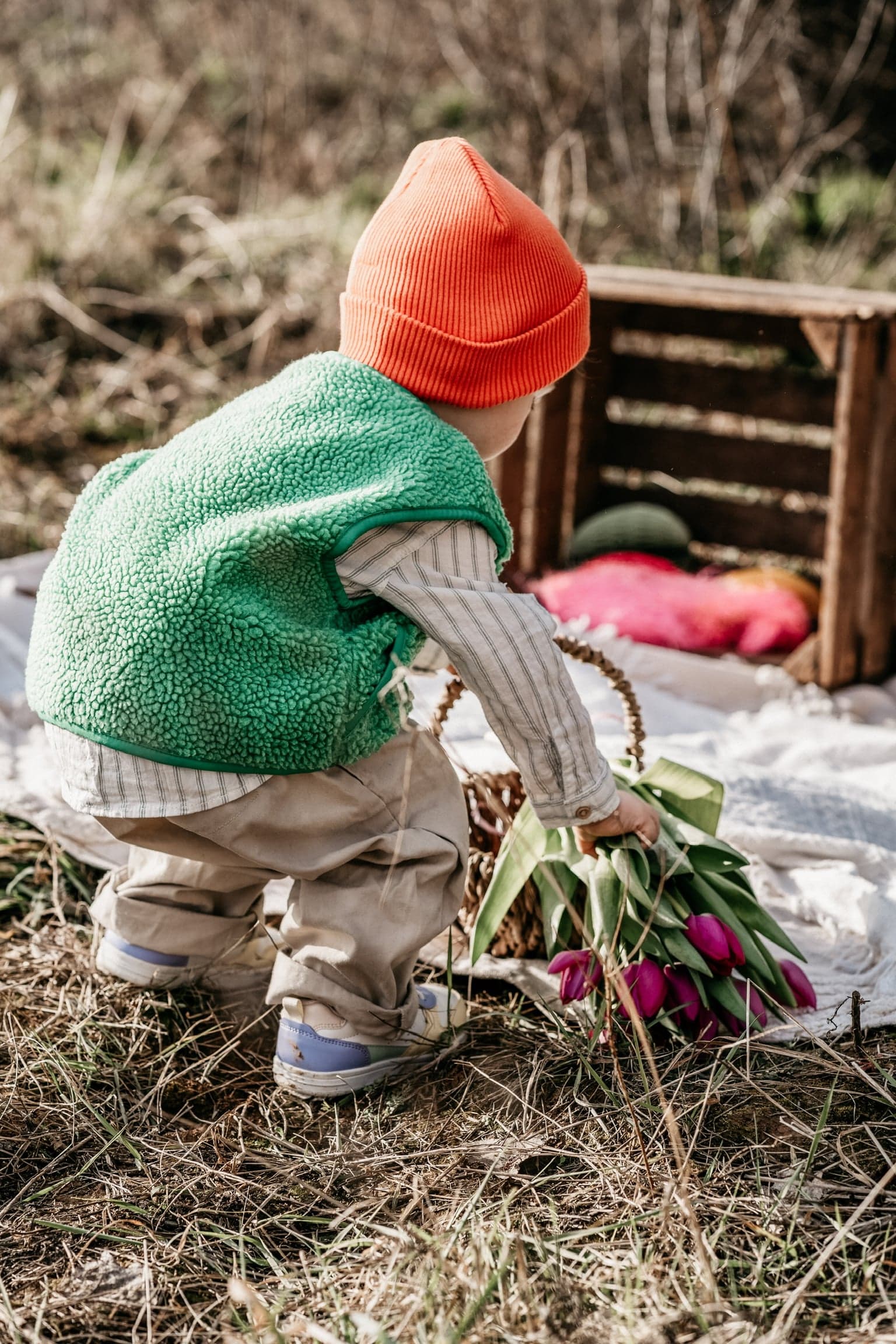 Kleinkind mit oranger Mütze hebt Tulpen neben einem Weidenkorb auf